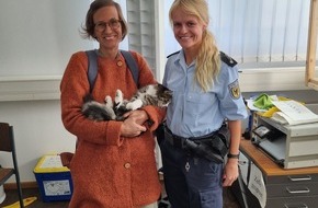 Bundespolizeidirektion München: Bundespolizeidirektion München: Katze Rosie fährt alleine mit dem Flughafenexpress