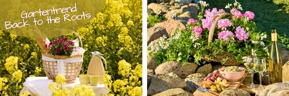 Pelargonium for Europe: Zur&uuml;ck zur Natur mit Geranien: Gestaltungsideen zwischen Wiesenflair, Cottage-Romantik und modernem Landleben