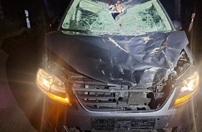 Polizeiinspektion Stade: POL-STD: Kupferdiebe in Hammah, Auto prallt mit Pferd zusammen - zwei Insassen leicht verletzt