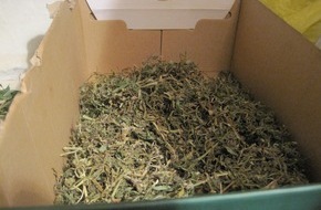 Polizeidirektion Göttingen: POL-GOE: (608/2014)  Professionelle Hanfplantage bei Durchsuchung einer Wohnung in Geismar entdeckt - 35 Pflanzen und Zubehör von Polizei beschlagnahmt