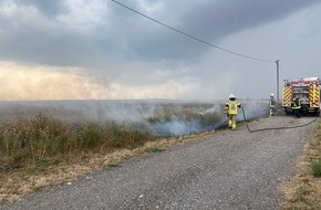 Polizeidirektion Neustadt/Weinstraße: POL-PDNW: PI Grünstadt - Feldbrand nach Blitzeinschlag