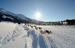 Bad Hindelang Tourismus: Pressetext: 110 Teams, mehr als 1.000 Tiere und ein Heimsieg bei Schlittenhunde-Weltcup in Unterjoch