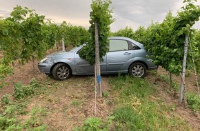 Polizeidirektion Neustadt/Weinstraße: POL-PDNW: Verkehrsunfall unter Alkoholeinwirkung