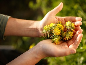 An extra dose of care: Dr. Hauschka Pflege im Limited Edition Design in Vorteilsgr&ouml;&szlig;e