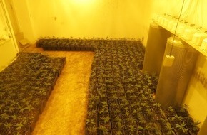 Polizei Düren: POL-DN: Cannabisplantage ausgehoben