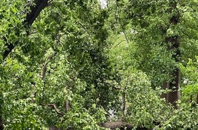 Freiwillige Feuerwehr Bedburg-Hau: FW-KLE: [Aktualisierung] Unwetterbedingte Einsätze durch Gewitter und Sturmböen