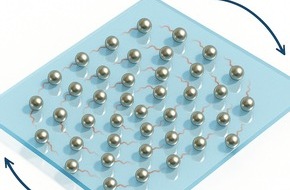 Universität Konstanz: Mit dem Schwarm im Takt , PI Nr. 120/2025