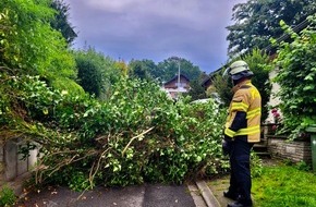 Feuerwehr Herdecke: FW-EN: Mehrere Einsätze am Wochenende: Baum im Narzissenweg und angebliches Feuer im Gebäude