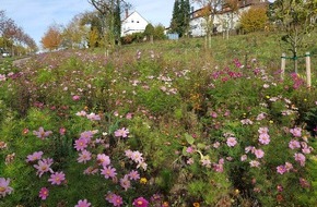 Energie- und Klimaschutzagentur Rheinland-Pfalz GmbH: Gr&uuml;n, clever, sparsam: Wie Pirmasens mit innovativen Ideen die Finanzen schont und die Natur f&ouml;rdert