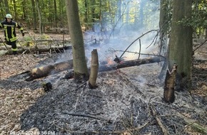 Feuerwehren im Kreis Soest: FW Kreis Soest: Wald- und Flächenbrandgefahr jetzt schon hoch - wie kann man vorbeugen?