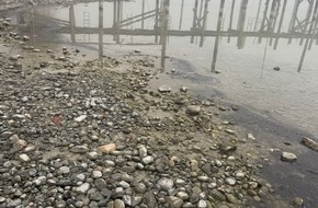 Feuerwehr Allensbach: FW Allensbach: OEW2 Bodensee &Ouml;l Uferbereich