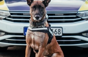 Hauptzollamt Bielefeld: HZA-BI: Zollhund "Basko" mit richtigem Riecher Bielefelder Zöllner finden Drogen im Wert von rund 87.000 EUR