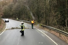 Freiwillige Feuerwehr Breckerfeld: FW-EN: Baum hängt über Fahrbahn