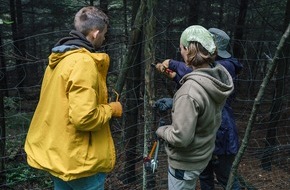 Bergwaldprojekt e.V.: Freiwilliges Engagement für einen naturnahen Wald: das Bergwaldprojekt e.V. in Oberhof