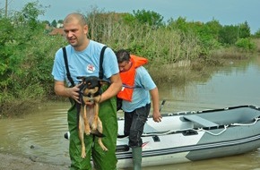 VIER PFOTEN - Stiftung für Tierschutz: VIER PFOTEN auf Einladung der bulgarischen Behörden im Hochwasser-Hilfseinsatz / Kooperation mit Rotem Kreuz und Militär: Rettung von Nutz- und Heimtieren in stark betroffener Stadt Mizia (BILD)