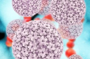 MSD Merck Sharp & Dohme AG: Neue Erhebung in Europa, inklusive Schweiz, zeigt deutliche Unterschiede im öffentlichen Bewusstsein und Wissen um das Humane Papillomavirus (HPV)