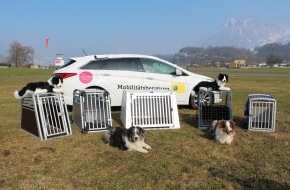Touring Club Schweiz/Suisse/Svizzero - TCS: Viaggiare con cani a bordo : in gabbia con sicurezza