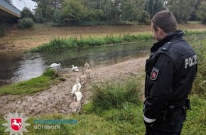 Polizeiinspektion Göttingen: POL-GÖ: (512/2018) Mein lieber Schwan!  - Polizei eskortiert Großfamilie sicher bis zur Leine