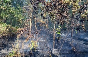 Feuerwehr Frankfurt am Main: FW-F: Waldbrand am Bahnhof Stadion