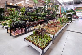 Topmodern und nachhaltig: Neues BAUHAUS in Mannheim wird eröffnet