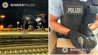 Bundespolizeidirektion München: Bundespolizeidirektion München: Taubenrettung mit traurigem Ausgang - Sitzplatzstreit mit Verletzten