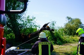 Feuerwehr Flotwedel: FW Flotwedel: Ortsfeuerwehr Bröckel rückt zu Nachlöscharbeiten nach morgendlichem Brand aus
