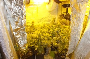 Polizeidirektion Bad Segeberg: POL-SE: Tornesch - Polizei stellt Cannabisplantage sicher