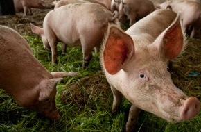 Demobetriebe Ökologischer Landbau: Biohof Medewege - die Erfolgsgeschichte eines Gemeinschaftsprojektes