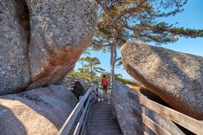 Zu Fuß durch die Bretagne: Fünf Wanderrouten durch die wilde Schönheit bretonischer Landschaften