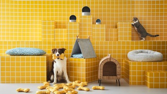 IKEA Deutschland GmbH & Co. KG: IKEA launcht erste Haustierkollektion UTSÅDD: Für die Katz? Und den Hund!