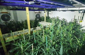 Polizeipräsidium Recklinghausen: POL-RE: Herten: Marihuanaplantage im Keller entdeckt - Hertener in U-Haft