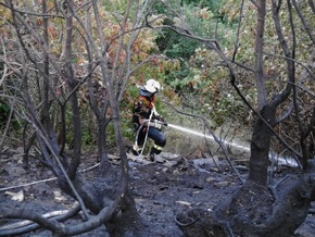 FW-EN: Großbrand im Waldgebiet am Herrentisch - Hinter dem Waldfriedhof brannten gut 1.500 qm Wald