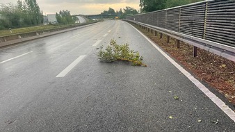 Freiwillige Feuerwehr Reichenau: FW Reichenau: Ast auf Fahrbahn nach Gewitter - 19.06.2026