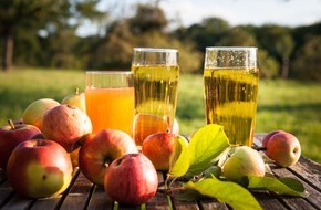 VdF Verband der deutschen Fruchtsaft-Industrie: Fruchtsaftverband spricht sich für Senkung der Mehrwertsteuer auch auf Saft aus