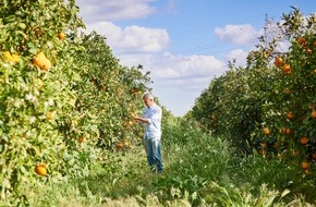 EDEKA ZENTRALE Stiftung & Co. KG: Nachhaltigkeit trägt Früchte - 10 Jahre Zitrusprojekt von EDEKA und WWF