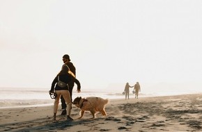 Turismo de Lisboa: Lissabon auf vier Pfoten: Die Destination setzt auf pet-friendly Reisen