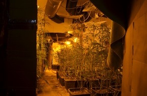Kreispolizeibehörde Rhein-Kreis Neuss: POL-NE: Drogenplantage in unbewohntem Einfamilienhaus entdeckt