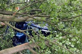 Feuerwehr Dinslaken: FW Dinslaken: Person im Auto unter Baum eingeklemmt