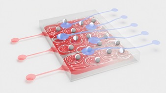 Universit&auml;t Konstanz: Ein Computer ohne Schaltkreise, gebaut aus Fl&uuml;ssigkeit und Teilchen, PI Nr. 73 /2026