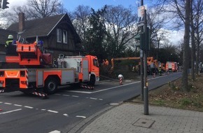 Feuerwehr und Rettungsdienst Bonn: FW-BN: Feuerwehr rückt mit Kran zu Sturmschaden in die Bonner Nordstadt aus.