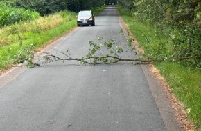 Freiwillige Feuerwehr H&uuml;nxe: FW H&uuml;nxe: Baum auf Fahrbahn
