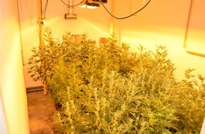 Polizei Rhein-Erft-Kreis: POL-REK: 230807-3: Polizeibeamte stellten über 200 Cannabispflanzen sicher