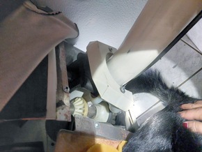 FW Kreuzau: Hund in Treppenlift eingeklemmt