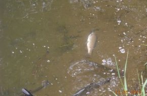 Polizeidirektion Hannover: POL-H: Fischsterben in Forellenzuchtbetrieb - Polizei ermittelt wegen des Verdachts  eines Umweltdeliktes