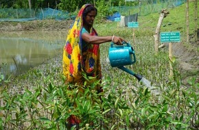 Global Nature Fund: Einladung zum Dialogforum: Mangroven & Nachhaltige Aquakultur