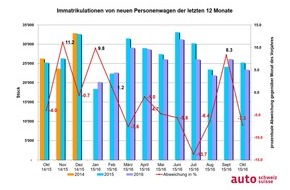 auto-schweiz / auto-suisse: auto-schweiz: Jahresverlauf auf Budgetkurs