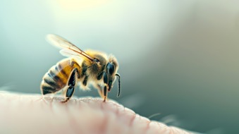 ALK-Abell&oacute; Arzneimittel GmbH: Sommerzeit ist Wespen- und Bienenzeit: Wann ein Stich gef&auml;hrlich werden kann