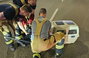 Feuerwehr Stuttgart: FW Stuttgart: Entenfamilie von Feuerwehr gerettet