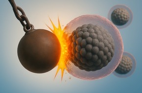 Universitätsklinikum Essen AöR: Mit Nanobodies gegen Krebs: Wegener-Stiftung fördert innovatives Forschungsprojekt an der Universität Duisburg-Essen