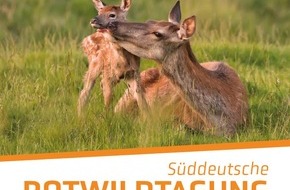 Deutscher Jagdverband e.V. (DJV): Rotwild: Zeit für Veränderung – neue Wege in die Zukunft
